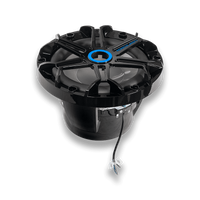Nemesis SOAK-10