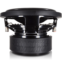 Subwoofer Sundown Audio SA-Classic de 10 pulgadas