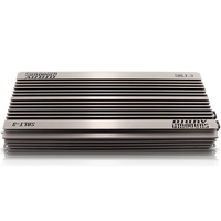Sundown Audio SALT-3 3000W Class D Amplifier